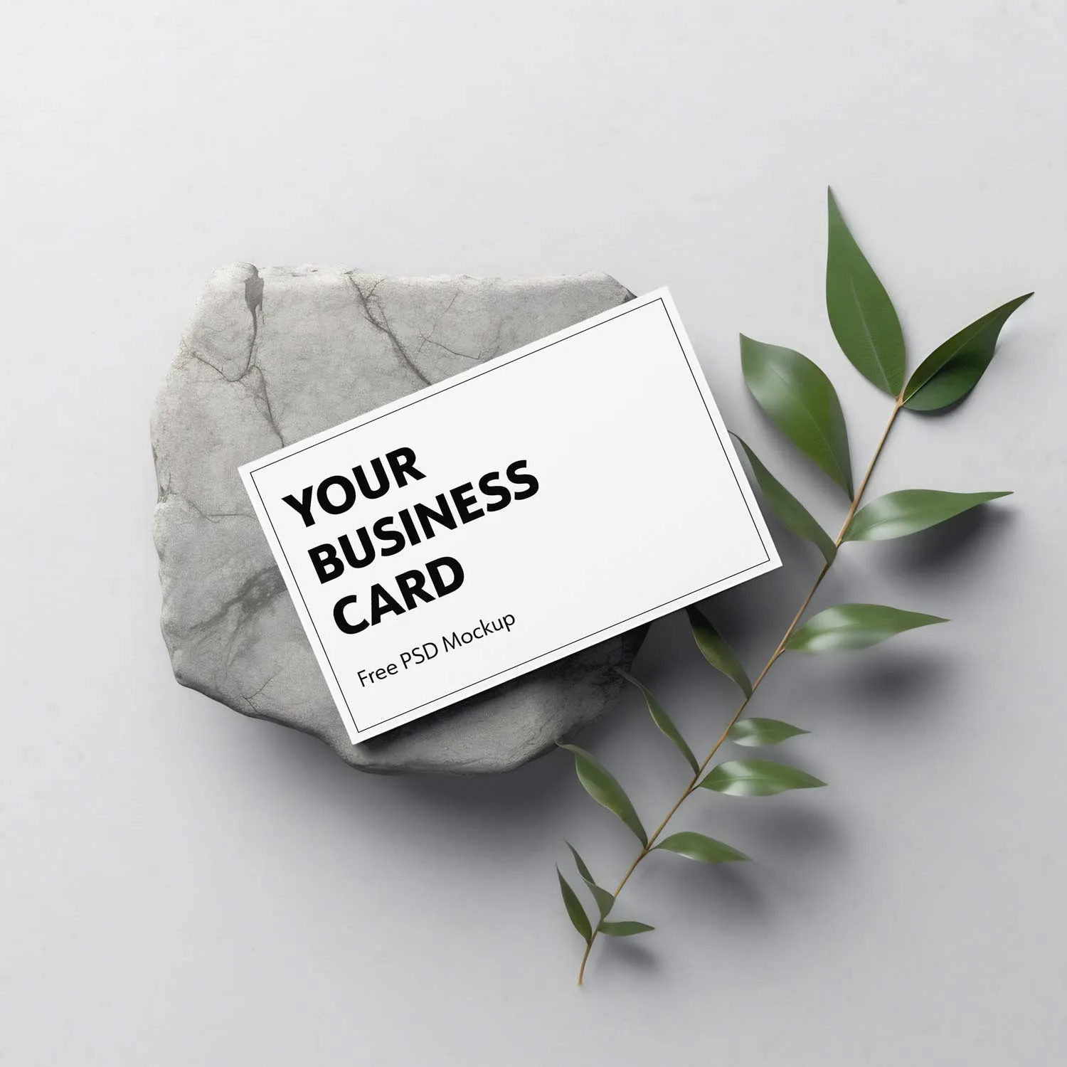 Free mockup of a white business card (standard EU size) on a stone and a branch