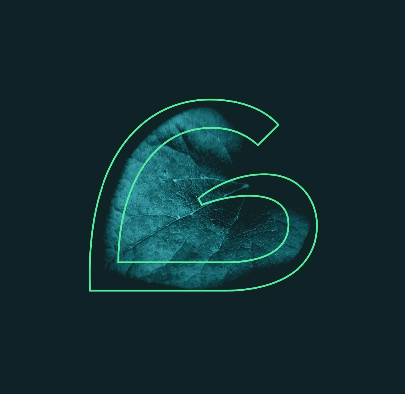 Greenlit logo on a leaf